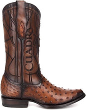 Load image into Gallery viewer, CUADRA Men&#39;s Brandy Ostrich Laser &amp; Embroidery Round Toe– CU303
